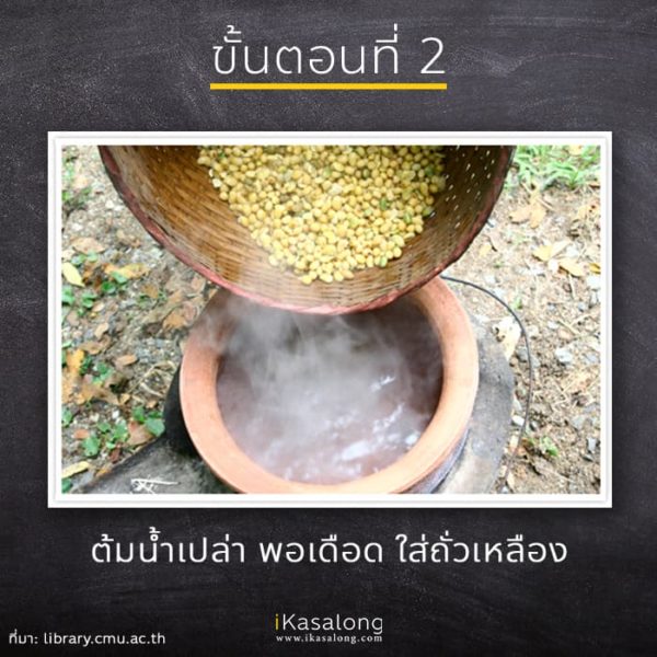 My Image 13
